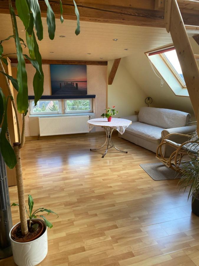 Helles Und Charmantes Loft Mit Herrlichem Blick Drezno Zewnętrze zdjęcie