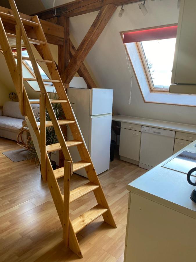 Helles Und Charmantes Loft Mit Herrlichem Blick Drezno Zewnętrze zdjęcie