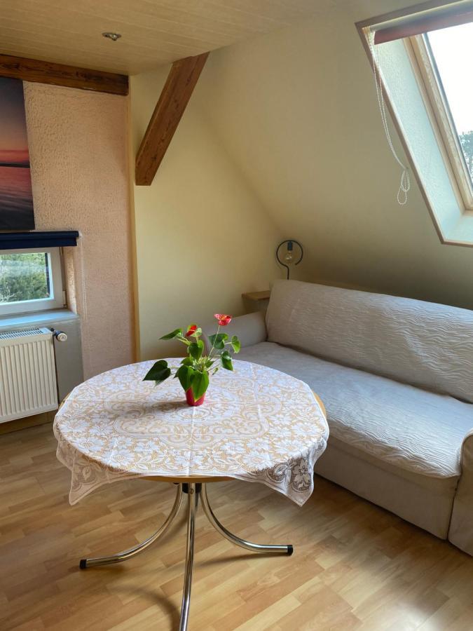 Helles Und Charmantes Loft Mit Herrlichem Blick Drezno Zewnętrze zdjęcie