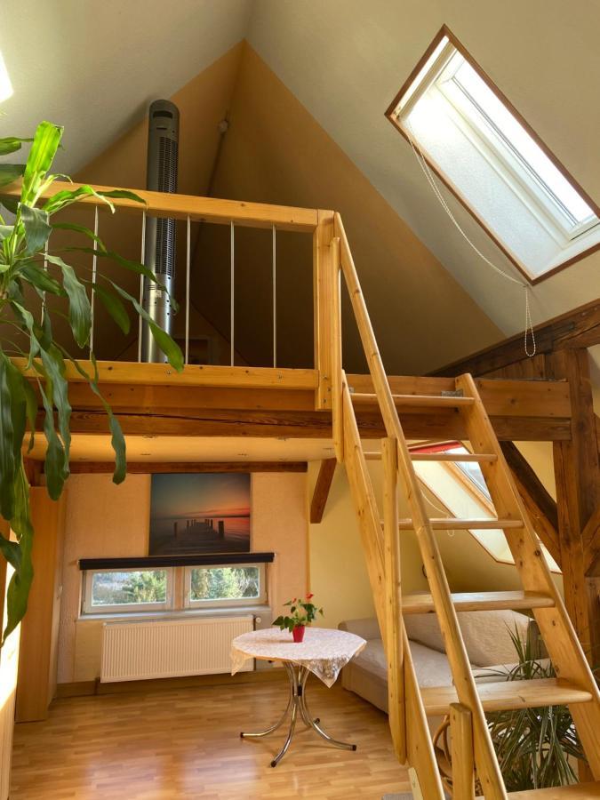 Helles Und Charmantes Loft Mit Herrlichem Blick Drezno Zewnętrze zdjęcie